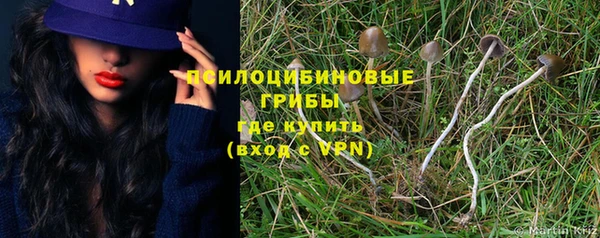spice Осташков