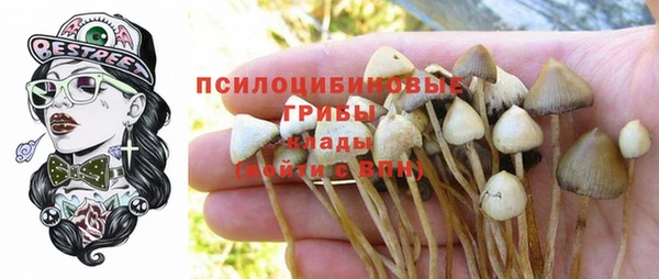 spice Осташков