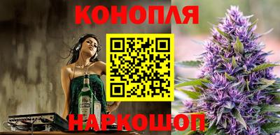 стафф Донской