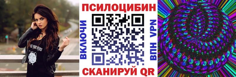 Галлюциногенные грибы Psilocybe  Карталы 