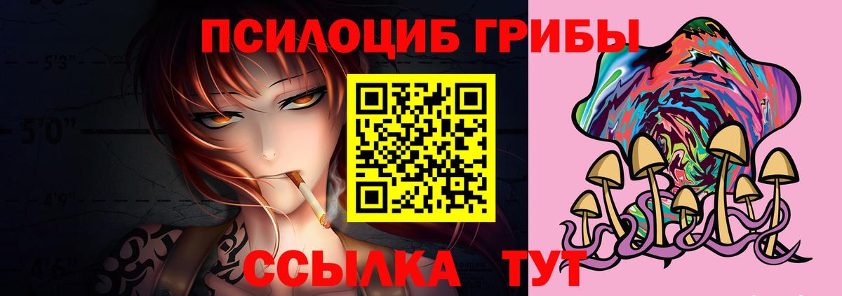 Галлюциногенные грибы Psilocybine cubensis  Вход с VPN  Карталы 