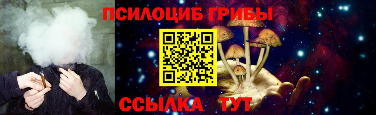 купить закладку  Карталы  Галлюциногенные грибы мицелий 